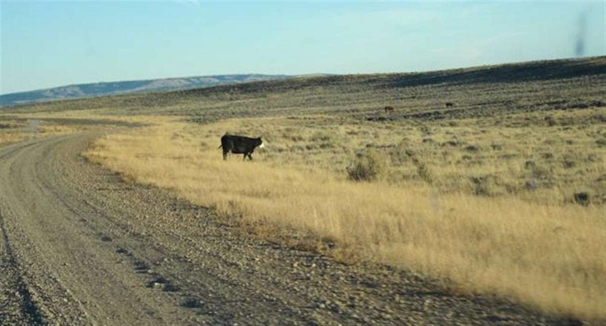 Natrona County - Wyoming - 01